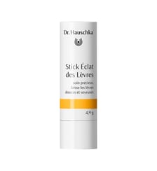 Stick Éclat des Lèvres Dr. Hauschka