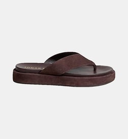 Marron foncé