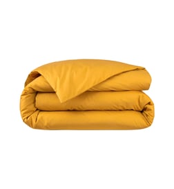 Mangue