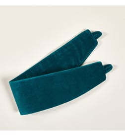Bleu canard