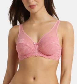 Rose poudré