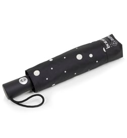 Pois noir et jaune