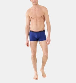 Bleu indigo