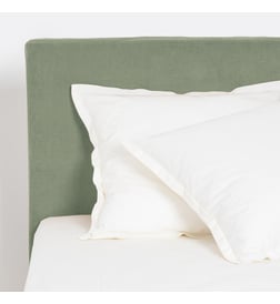 Vert de gris