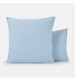 Bleu pastel