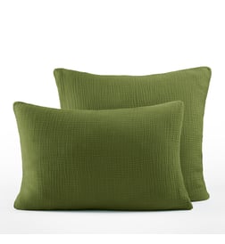 Vert mousse