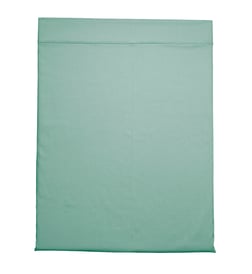 Menthe