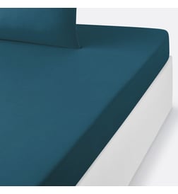 Bleu de prusse