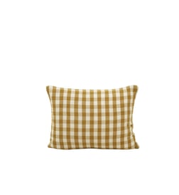 Jaune ocre