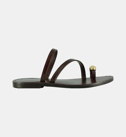 Marron foncé