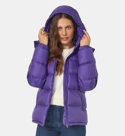 Iris violet