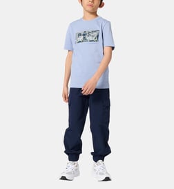 Bleu cargo