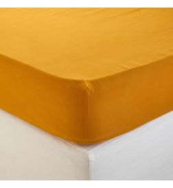 Ocre