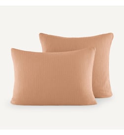 Rose désert