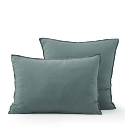 Bleu céladon