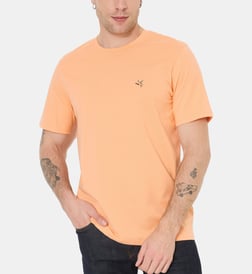 Melon
