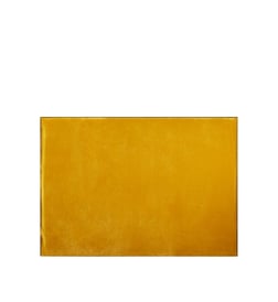 Ocre et bourdon noir
