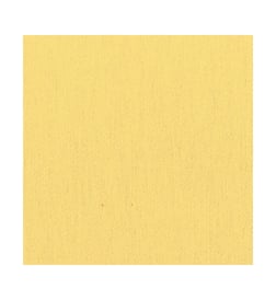 Mimosa
