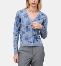 Bleu gris