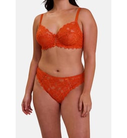 Orange mandarine
