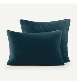 Bleu paon
