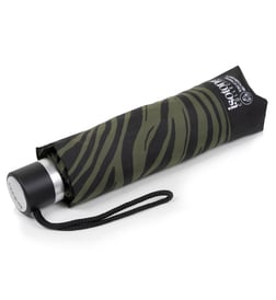 Zèbre kaki