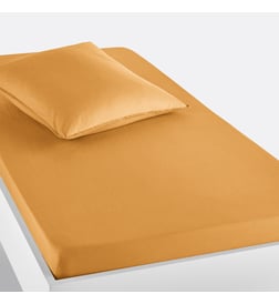 Camomille
