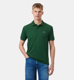 Vert croco