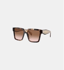 Écaille de tortue caramel