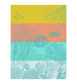 Corail
