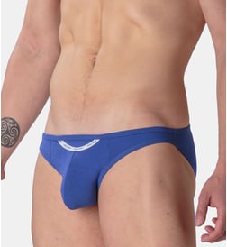 Bleu