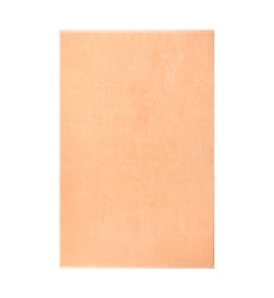 Pêche