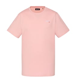 Rose pâle