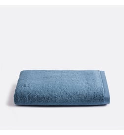 Bleu de prusse