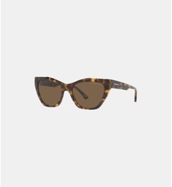 Havana marron brillant
