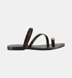 Marron foncé