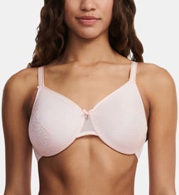 Rose pâle