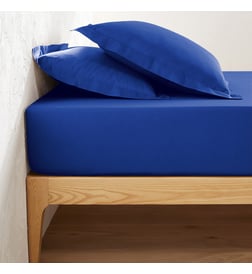 Bleu royal