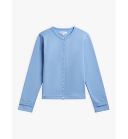 Bleu dream