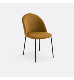 Ambre