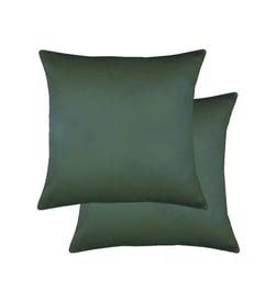 Vert foncé
