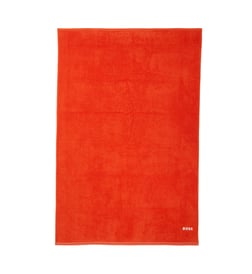 Orange séchée