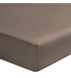 Marron roseau