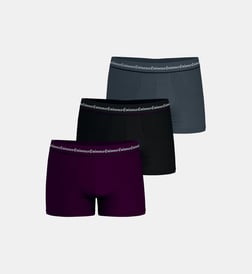 Prune noir anthracite