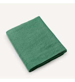 Vert épicéa