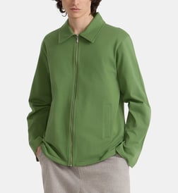 Vert perruche