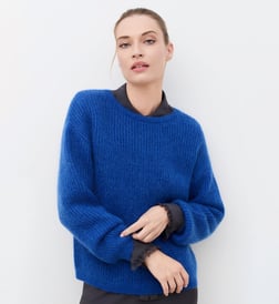 Bleu roi