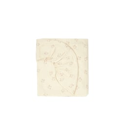 Oiseaux hoshi marrons