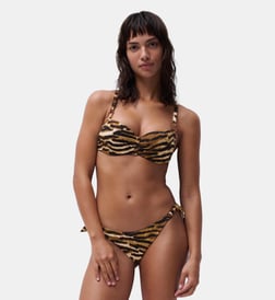 Tigre