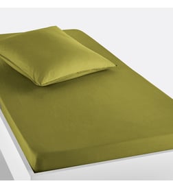 Vert olive